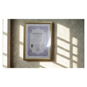 f11-a4-gold-trim-doc-frame