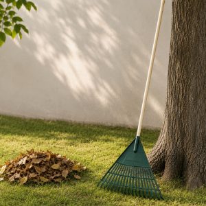 bf-43cm-robust-pls-rake-155x165-green